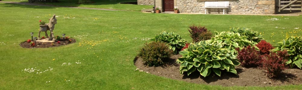 Garden at Low Skibeden